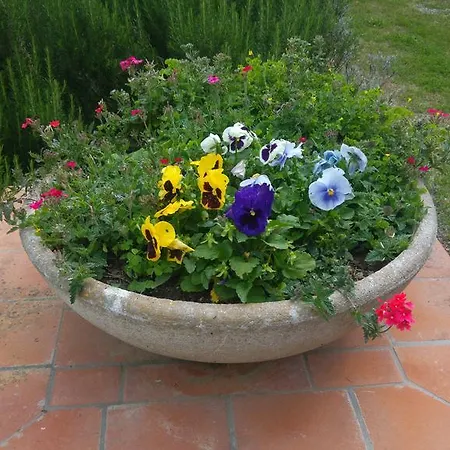 Farmház Pettinari *