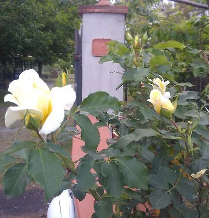 Farmház Pettinari Marina di Grosseto