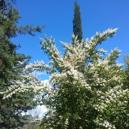 Pettinari Marina di Grosseto